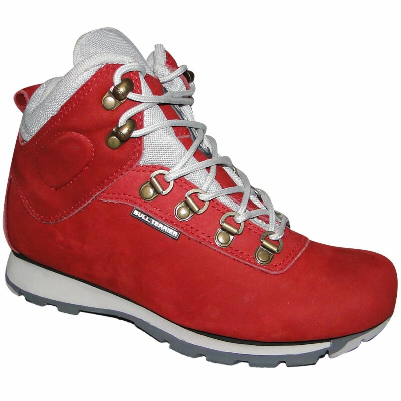bull terrier tenis vermelho