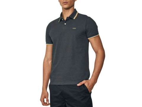 CAMISA POLO MASC COLCCI 025.01.03277 - Cinza