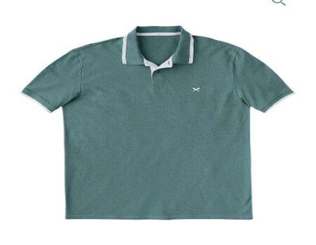 CAMISA POLO MASCULINA BÁSICA COM BORDADO HERING 036H - Verde