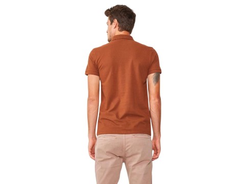 CAMISA POLO MASCULINA COLCCI 025.01.03115 - Marrom
