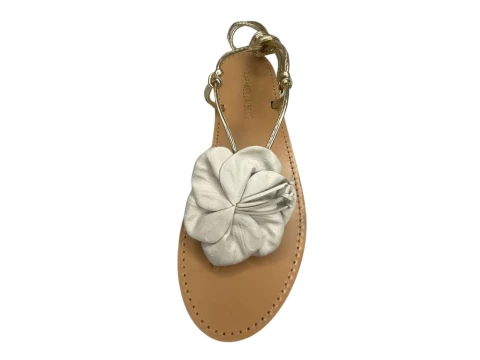 SANDALIA RASTEIRA RAPHAELLA BOOZ 307.24214554 - Dourado