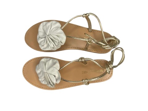 SANDALIA RASTEIRA RAPHAELLA BOOZ 307.24214554 - Dourado